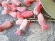 画像2: アンティーク シルクシフォンの布花 ピンクのツリガネソウ (2)