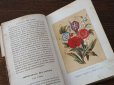 画像7: アンティーク ＊蚤の市セット＊ 1789年植物学の冊子 & 1876年花言葉の本のセット