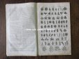 画像11: アンティーク ＊蚤の市セット＊ 1789年植物学の冊子 & 1876年花言葉の本のセット
