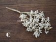 画像6: アンティーク  ホワイトライラックの布花