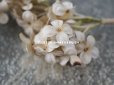画像3: アンティーク  ホワイトライラックの布花
