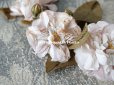 画像4: アンティーク  薔薇の布花  パウダーピンク ドールハット用 クォーター・ロゼット咲き