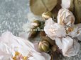 画像6: アンティーク  薔薇の布花  パウダーピンク ドールハット用 クォーター・ロゼット咲き