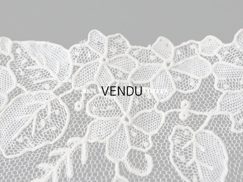 画像10: 新品同様 19世紀末 アンティーク ニードルレース ポワンドローズの付け襟 ポワンドガーズ 【ポワン・ド・ガーズ】 【ポワン・ド・ローズ】