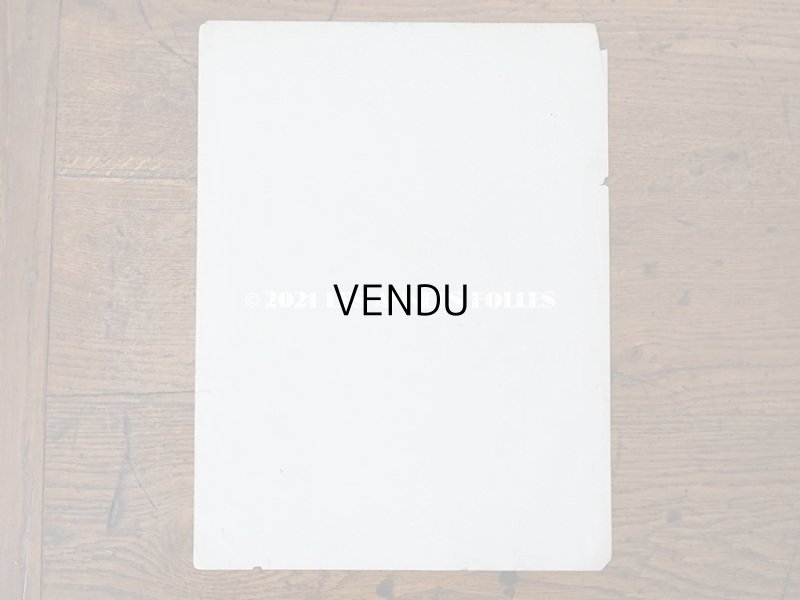 画像3: アンティーク 版画 植物画 薔薇 & ムクゲ & デルフィニウム