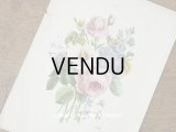 アンティーク 版画 植物画　薔薇　& ムクゲ　＆　デルフィニウム