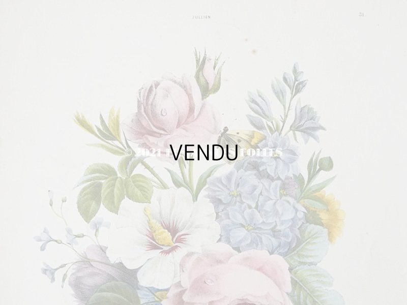 画像4: アンティーク 版画 植物画 薔薇 & ムクゲ & デルフィニウム