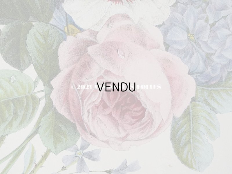 画像7: アンティーク 版画 植物画 薔薇 & ムクゲ & デルフィニウム