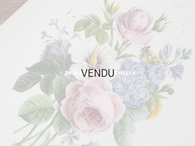 画像6: アンティーク 版画 植物画 薔薇 & ムクゲ & デルフィニウム