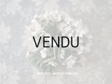 アンティーク 白菫の布花　約75輪