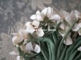 画像4: アンティーク 白菫の布花　約75輪