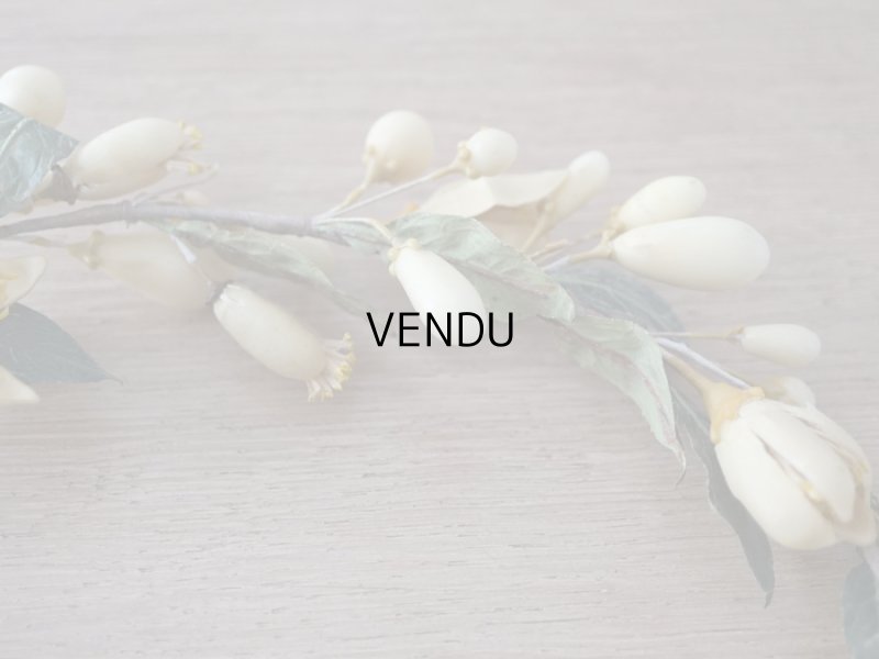 画像6: 19世紀末 アンティークワックスフラワーのティアラ & ブートニアのセット ウェディング 結婚式 