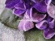 画像4: 【クリスマスセール2021対象外】アンティーク　ベルベット 菫の大きな布花  