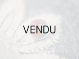 【セール対象外】アンティーク サフィレットのルース 6.5mm カット入り 