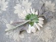画像11:  アンティーク 布花 西洋菊 クリザンテーム　コサージュ パウダーブルー