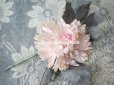画像6:  アンティーク 布花 西洋菊 クリザンテーム　コサージュ パウダーピンク