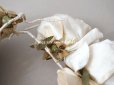 画像10: 19世紀末 アンティーク  薔薇の布花のティアラ  花冠