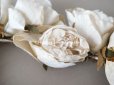 画像8: 19世紀末 アンティーク  薔薇の布花のティアラ  花冠