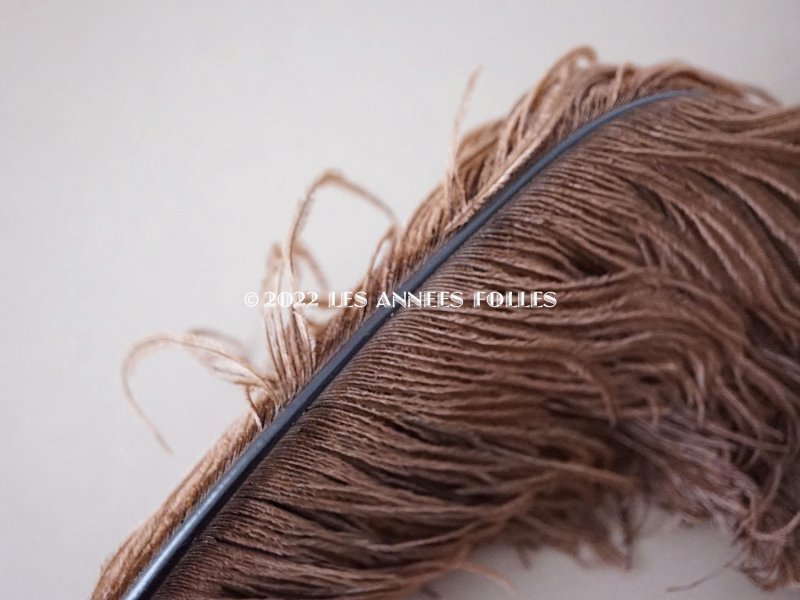 画像5: 1900年頃 アンティーク フェザー チョコレートブラウン 羽飾り