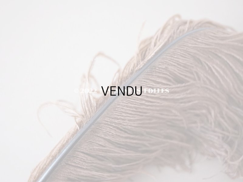 画像5: 1900年頃 アンティーク フェザー チョコレートブラウン 羽飾り 