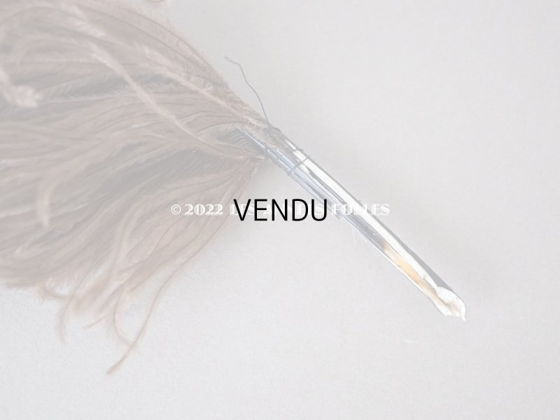 画像4: 1900年頃 アンティーク フェザー チョコレートブラウン 羽飾り 