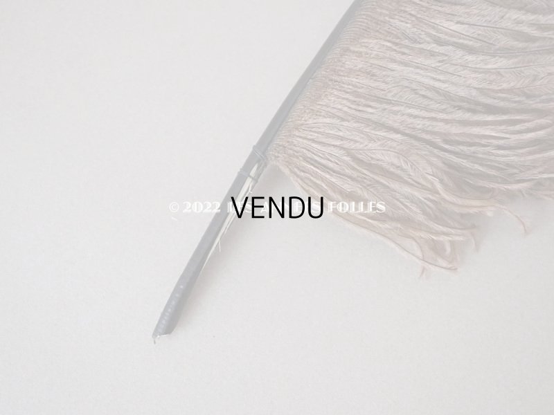 画像3: 1900年頃 アンティーク フェザー チョコレートブラウン 羽飾り 