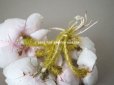画像11:  アンティーク 薔薇の布花 クォーターロゼット咲き コサージュ