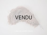 1900年頃 アンティーク フェザー チョコレートブラウン 羽飾り 