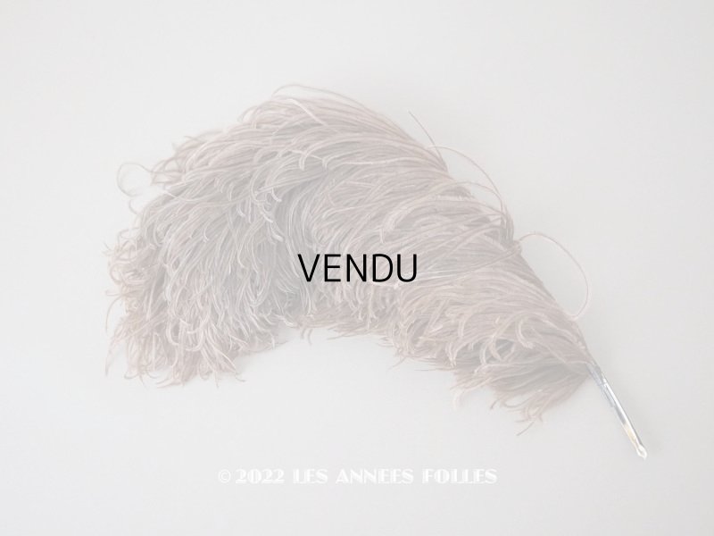 画像1: 1900年頃 アンティーク フェザー チョコレートブラウン 羽飾り 