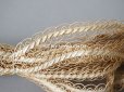 画像4: 19世紀 アンティーク ストロー素材のブレード 帽子用  約9〜10m  1.3cm幅 
