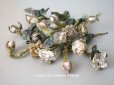 画像1: 19世紀　ナポレオン3世時代 アンティーク 薔薇の布花のセット　 パウダーピンク (1)
