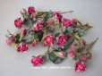 画像1: 19世紀　ナポレオン3世時代 アンティーク 薔薇の布花のセット　 (1)