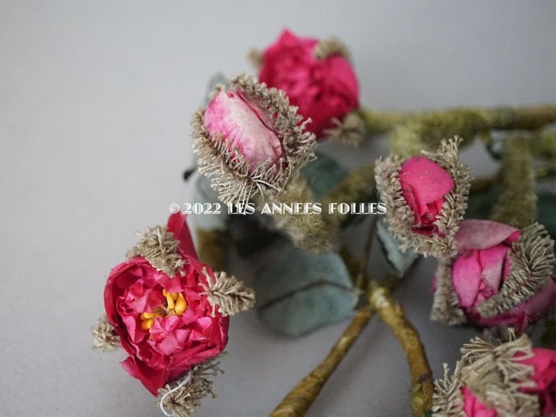 画像6: 19世紀 ナポレオン3世時代 アンティーク 薔薇の布花のセット