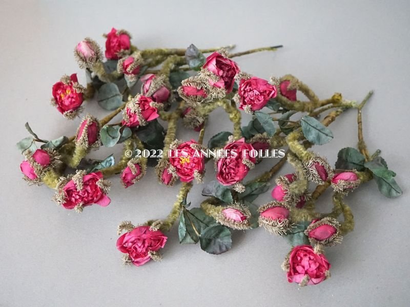 画像2: 19世紀　ナポレオン3世時代 アンティーク 薔薇の布花のセット　