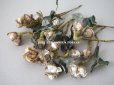画像2: 19世紀　ナポレオン3世時代 アンティーク 薔薇の布花のセット　 パウダーピンク (2)