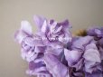 画像5: 1900年代 アンティーク 菫のブーケの布花 パルマスミレ