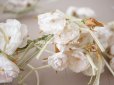 画像8: アンティーク 薔薇の大きな花冠 オフホワイト 布花のティアラ