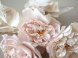 画像6:  アンティーク 薔薇の布花 4輪のブーケ クォーターロゼット咲き パウダーピンク