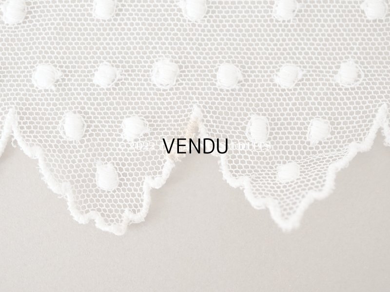 画像5: アンティーク ドット刺繍入り　スカラップ チュールレース オフホワイト　2.65m 幅11cm