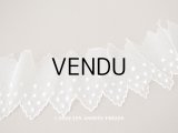 アンティーク ドット刺繍入り　スカラップ チュールレース オフホワイト　2.65m 幅11cm