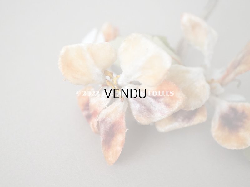 画像3: アンティーク ベルベットの布花　パープル＆オレンジ