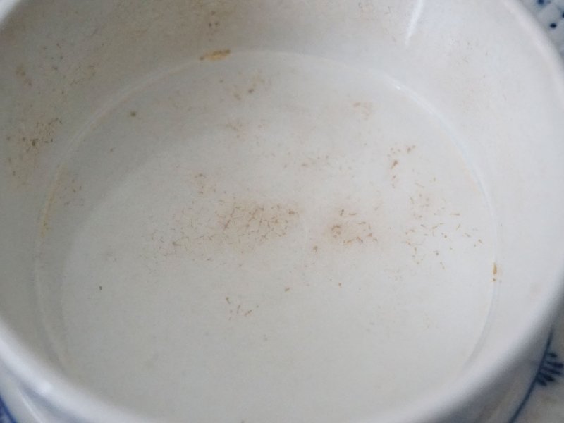 画像4: アンティーク *蚤の市* VILLEROY&BOCHの蓋付きブレート