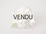 未使用 アンティーク ベルベットの布花　ラベル付き　オフホワイト＆パールパープル