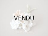 未使用 アンティーク ベルベットの布花　ラベル付き　オフホワイト＆ピーチピンク