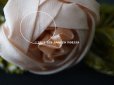 画像18: 【セール対象外】未使用 1910年代 アンティーク 大きな薔薇のロココモチーフのガーランド 　オートクチュールのドレスの装飾 115cm