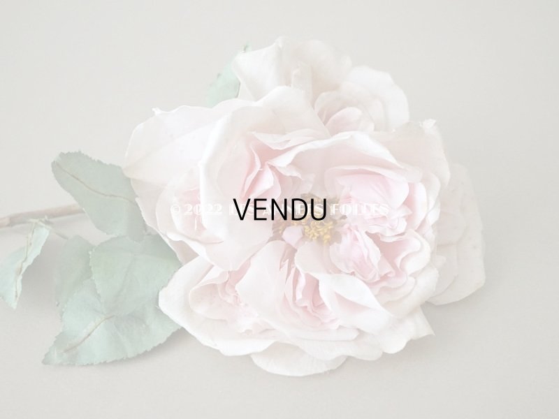 画像3: 1900年代 アンティーク 薔薇の大きな布花 パウダーピンク クウォーター・ロゼット咲き