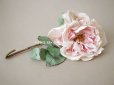 画像2: 1900年代 アンティーク　薔薇の大きな布花 パウダーピンク　クウォーター・ロゼット咲き (2)