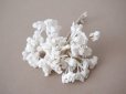 画像2: アンティーク  ベルベットの布花 ホワイト (2)