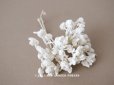 画像1: アンティーク  ベルベットの布花 ホワイト (1)
