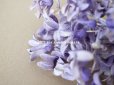 画像4: 1900年代 アンティーク 薄紫色の布花 (4)